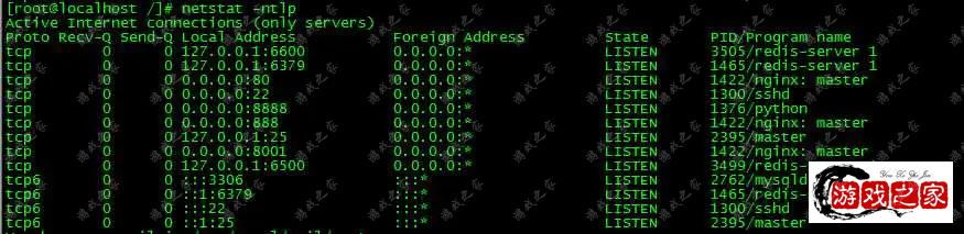 1636540246356624.webp.webp